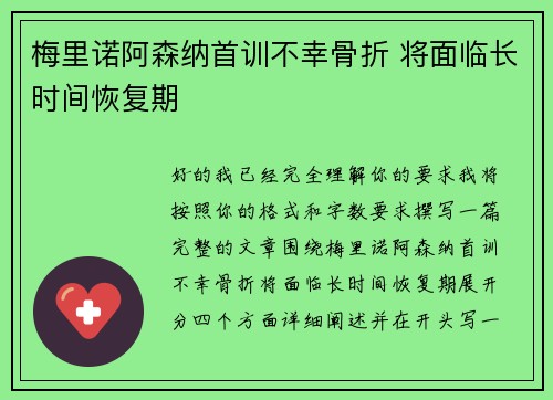 梅里诺阿森纳首训不幸骨折 将面临长时间恢复期